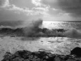 /album/galleria-fotografica/fertilia-mare-dinverno-jpg/
